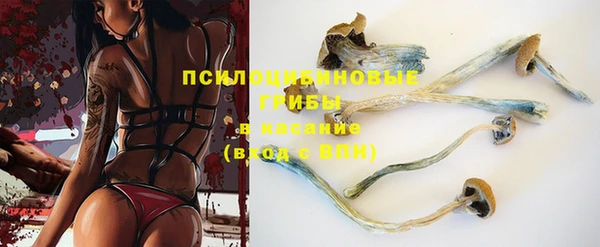 шишки Пересвет