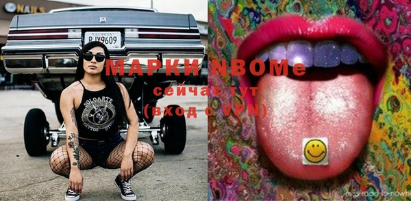 шишки Пересвет