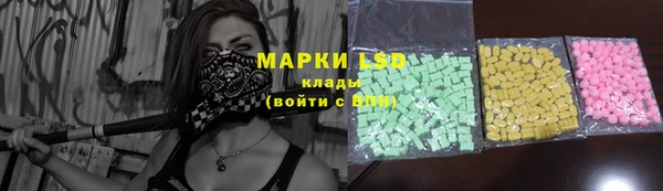 шишки Пересвет