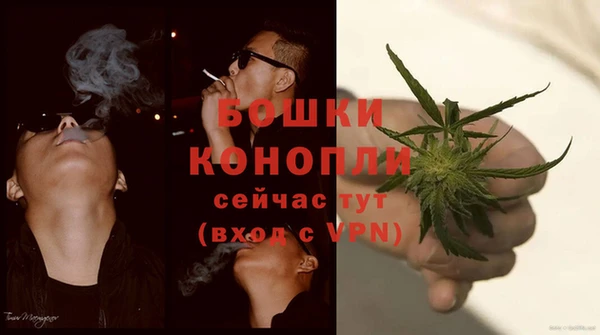 шишки Пересвет