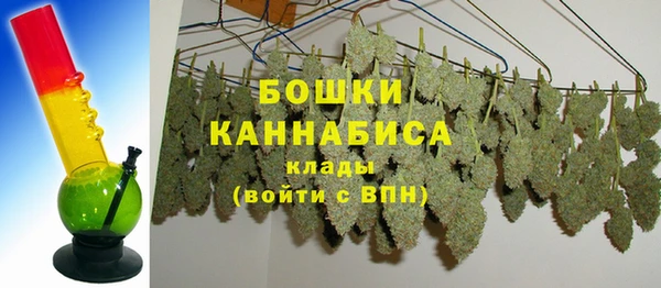 шишки Пересвет
