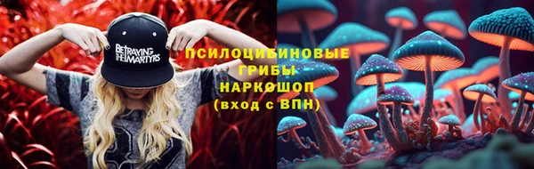 ПСИЛОЦИБИНОВЫЕ ГРИБЫ Переславль-Залесский