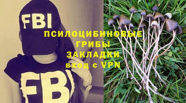 ПСИЛОЦИБИНОВЫЕ ГРИБЫ Переславль-Залесский