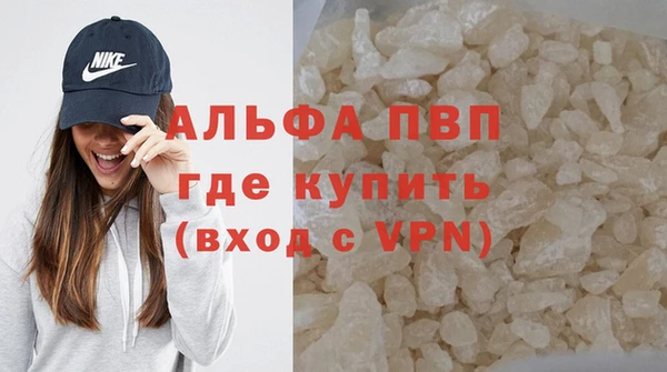 шишки Пересвет